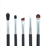 Professional Brush Set