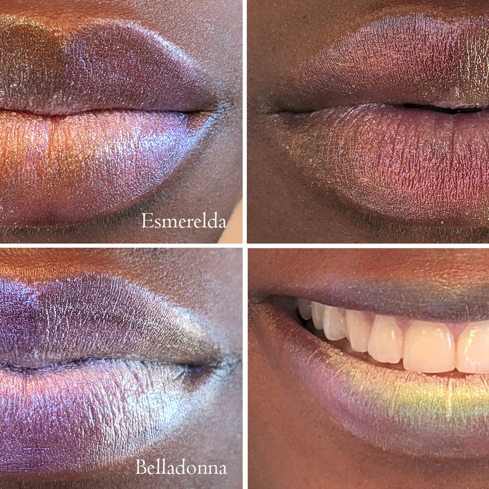 
                      
                        The Vixen Collection
                      
                    